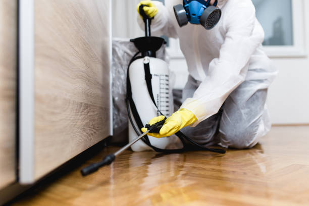 Best Rat Extermination Near Me  in Glen Lyon, PA