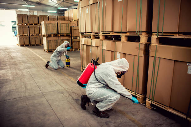 Best Mosquito Control Services  in Glen Lyon, PA