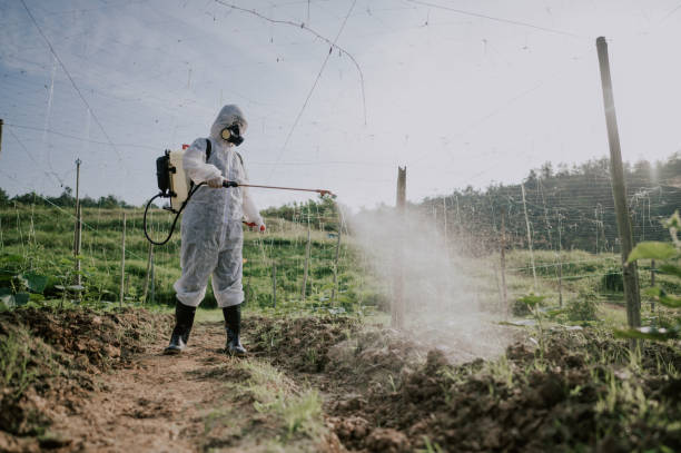Best Affordable Pest Control Services  in Glen Lyon, PA