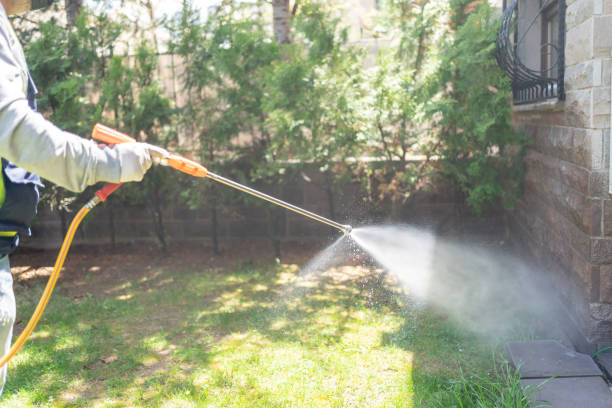 Wasp Removal Services in Glen Lyon, PA