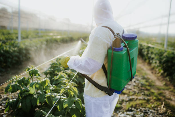 Trusted Glen Lyon, PA Pest Control Experts